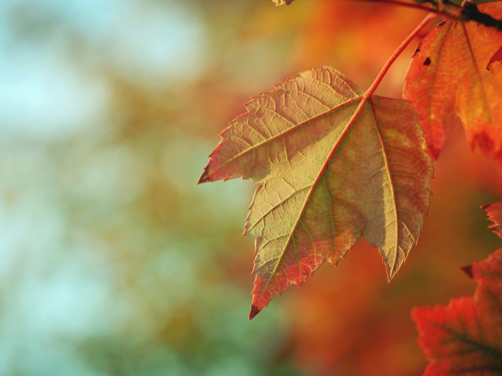 Get Your Home Ready for&nbsp;Fall